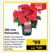 140mm Poinsettia