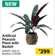 Artificial Peacock Plant With Basket