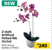 2 Stalk Artificial Potted Rib Orchid