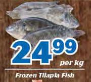 Frozen Tilapia Fish-Per Kg