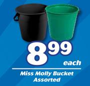 Miss Molly Bucket Assorted-Each