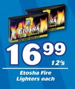 Etosha Fire Lighters-12's Each