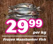 Frozen Maasbanker Fish-Per Kg