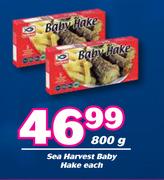 Sea Harvest Baby Hake-800g Each