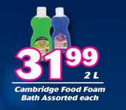 Cambridge Food Foam Bath Assorted-2L Each