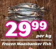Frozen Maasbanker Fish-Per Kg