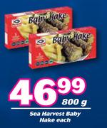 Sea Harvest Baby Hake-800g Each