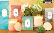 Circa Scented Candle Assorted-350g Each