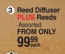 Reed Diffuser Plus Reeds Assorted-Each