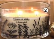 Scented 2-Wick Candles Assorted-Each