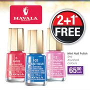 Mini Nail Polish Assorted Colours-5ml Each