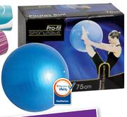 Exercise ball dischem 2025