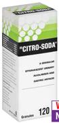 Citro Soda-120g