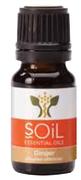 Ginger Oil-10ml