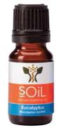 Eucalyptus Oil-10ml