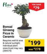 Flora Bonsai Ginseng Ficus In Ceramic
