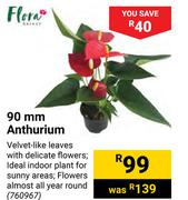 Flora 90mm Anthurium
