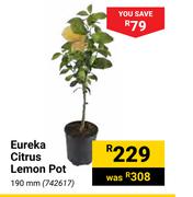 Eureka Citrus Lemon Pot 190mm