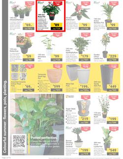 Builders : It's Get Ready For Summer Day (31 December - 27 January 2025), page 2