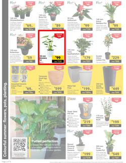 Builders : It's Get Ready For Summer Day (31 December - 27 January 2025), page 2