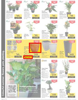 Builders : It's Get Ready For Summer Day (31 December - 27 January 2025), page 2