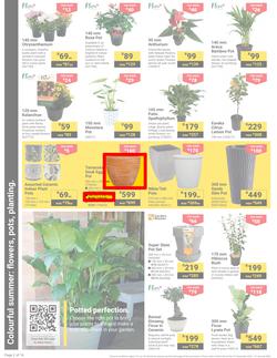 Builders : It's Get Ready For Summer Day (31 December - 27 January 2025), page 2