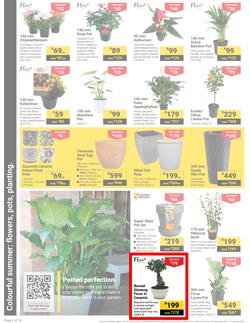 Builders : It's Get Ready For Summer Day (31 December - 27 January 2025), page 2