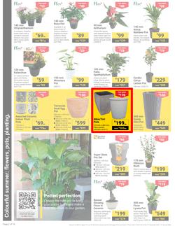 Builders : It's Get Ready For Summer Day (31 December - 27 January 2025), page 2