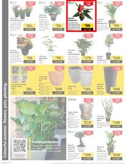 Builders : It's Get Ready For Summer Day (31 December - 27 January 2025), page 2