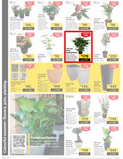 Builders : It's Get Ready For Summer Day (31 December - 27 January 2025), page 2