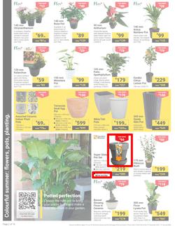 Builders : It's Get Ready For Summer Day (31 December - 27 January 2025), page 2