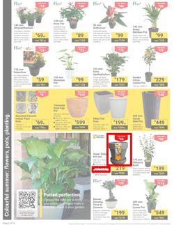 Builders : It's Get Ready For Summer Day (31 December - 27 January 2025), page 2