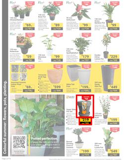 Builders : It's Get Ready For Summer Day (31 December - 27 January 2025), page 2