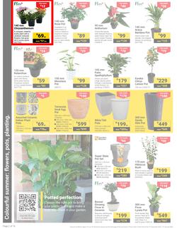 Builders : It's Get Ready For Summer Day (31 December - 27 January 2025), page 2