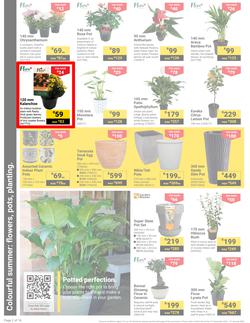 Builders : It's Get Ready For Summer Day (31 December - 27 January 2025), page 2