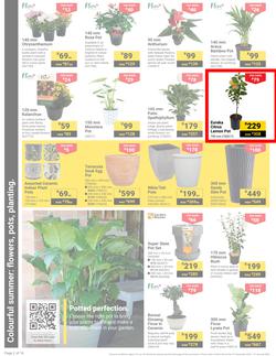 Builders : It's Get Ready For Summer Day (31 December - 27 January 2025), page 2
