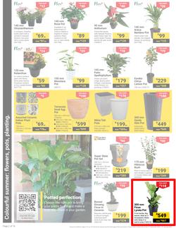 Builders : It's Get Ready For Summer Day (31 December - 27 January 2025), page 2