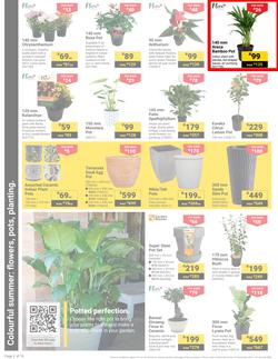 Builders : It's Get Ready For Summer Day (31 December - 27 January 2025), page 2
