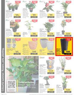 Builders : It's Get Ready For Summer Day (31 December - 27 January 2025), page 2