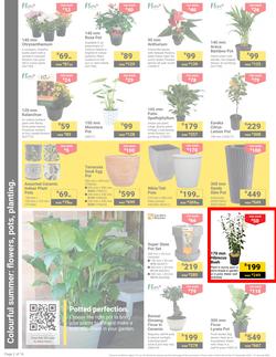 Builders : It's Get Ready For Summer Day (31 December - 27 January 2025), page 2