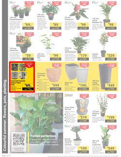 Builders : It's Get Ready For Summer Day (31 December - 27 January 2025), page 2
