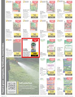 Builders : It's Get Ready For Summer Day (31 December - 27 January 2025), page 4