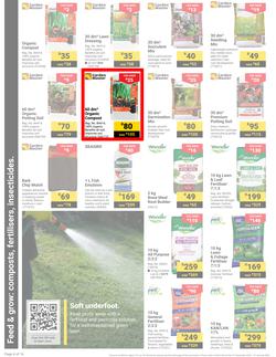 Builders : It's Get Ready For Summer Day (31 December - 27 January 2025), page 4
