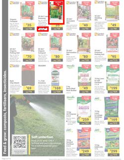 Builders : It's Get Ready For Summer Day (31 December - 27 January 2025), page 4