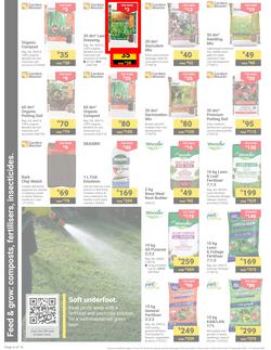 Builders : It's Get Ready For Summer Day (31 December - 27 January 2025), page 4