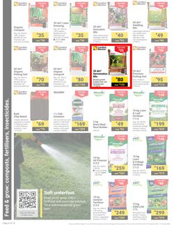 Builders : It's Get Ready For Summer Day (31 December - 27 January 2025), page 4