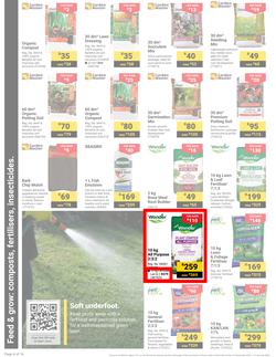 Builders : It's Get Ready For Summer Day (31 December - 27 January 2025), page 4