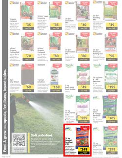 Builders : It's Get Ready For Summer Day (31 December - 27 January 2025), page 4