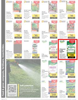 Builders : It's Get Ready For Summer Day (31 December - 27 January 2025), page 4
