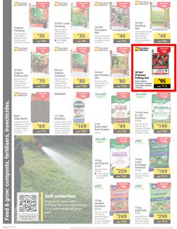 Builders : It's Get Ready For Summer Day (31 December - 27 January 2025), page 4